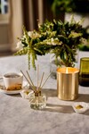 FRESH PINE GOLDIE CANDLE (HOLIDAY COLLECTION)