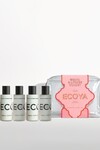 GUAVA & LYCHEE SORBET MINI TAKEAWAY SET (HOLIDAY COLLECTION)